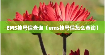 EMS挂号信查询（ems挂号信怎么查询）