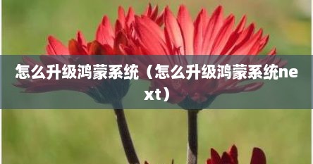 怎么升级鸿蒙系统（怎么升级鸿蒙系统next）