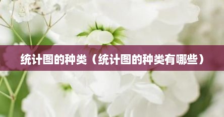 统计图的种类（统计图的种类有哪些）