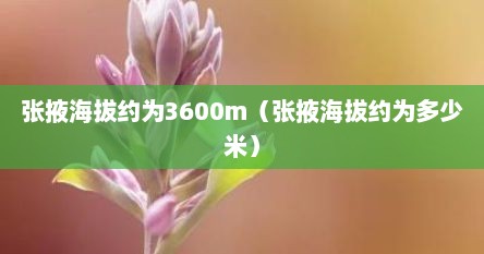 张掖海拔约为3600m（张掖海拔约为多少米）