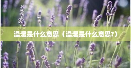 澡湿是什么意思（澡湿是什么意思?）