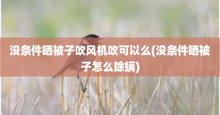 没条件晒被子吹风机吹可以么(没条件晒被子怎么除螨)