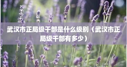 武汉市正局级干部是什么级别（武汉市正局级干部有多少）