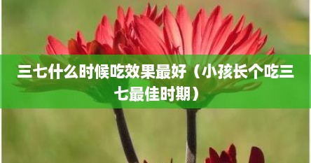 三七什么时候吃效果最好（小孩长个吃三七最佳时期）