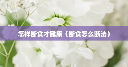 怎样断食才健康（断食怎么断法）