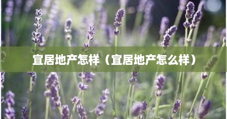 宜居地产怎样（宜居地产怎么样）