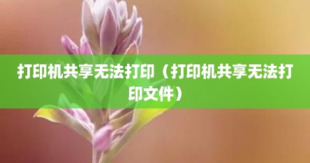 打印机共享无法打印（打印机共享无法打印文件）