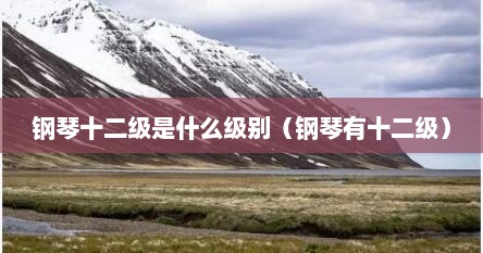 钢琴十二级是什么级别（钢琴有十二级）
