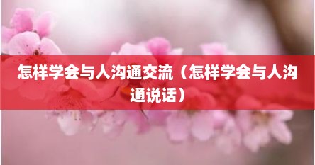 怎样学会与人沟通交流（怎样学会与人沟通说话）