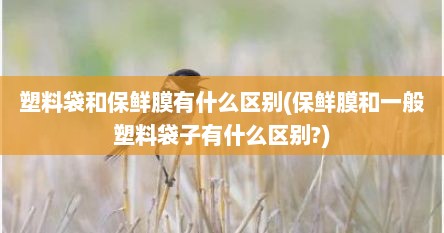 塑料袋和保鲜膜有什么区别(保鲜膜和一般塑料袋子有什么区别?)