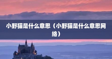 小野猫是什么意思（小野猫是什么意思网络）