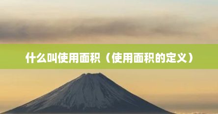 什么叫使用面积（使用面积的定义）