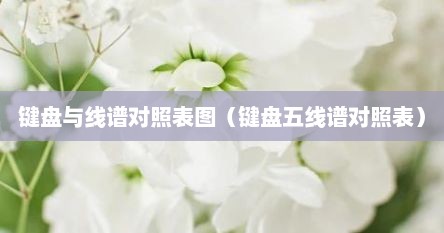 键盘与线谱对照表图（键盘五线谱对照表）
