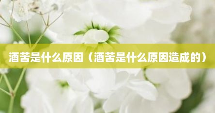 酒苦是什么原因（酒苦是什么原因造成的）