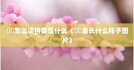 鮟鱇鱼学名是什么（鱼鮟鱇怎么读）