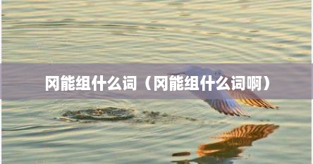 冈能组什么词（冈能组什么词啊）