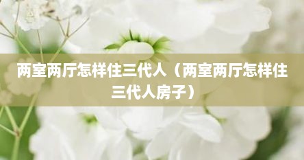 两室两厅怎样住三代人（两室两厅怎样住三代人房子）