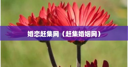 婚恋赶集网（赶集婚姻网）