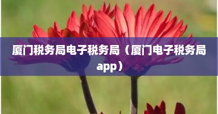 厦门市电子税务局登录入口（厦门电子税务局官网手机版）