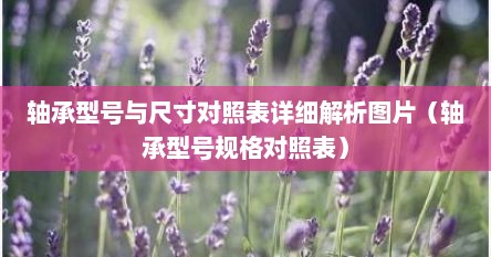 轴承型号与尺寸对照表详细解析图片（轴承型号规格对照表）