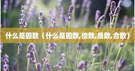 什么是因数（什么是因数,倍数,质数,合数）