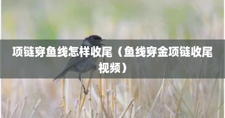 项链穿鱼线怎样收尾（鱼线穿金项链收尾视频）