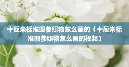十厘米标准图参照物怎么画的（十厘米标准图参照物怎么画的视频）