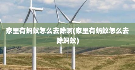 家里有蚂蚁怎么去除啊(家里有蚂蚁怎么去除蚂蚁)