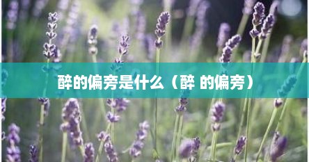 醉的偏旁是什么（醉 的偏旁）
