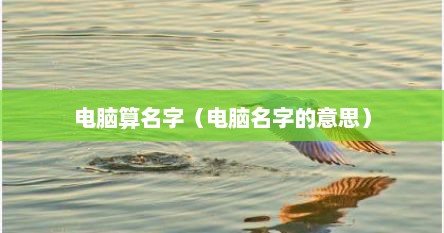 电脑算名字（电脑名字的意思）