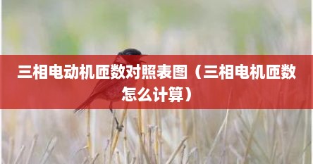 三相电动机匝数对照表图（三相电机匝数怎么计算）