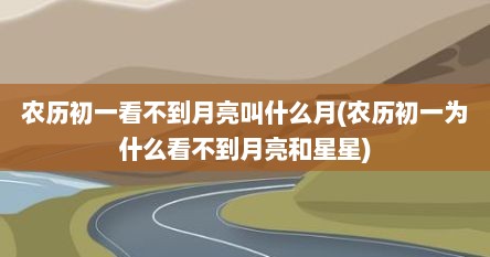 农历初一看不到月亮叫什么月(农历初一为什么看不到月亮和星星)
