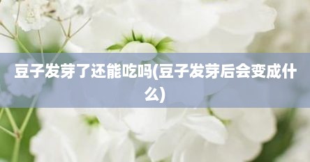 豆子发芽了还能吃吗(豆子发芽后会变成什么)