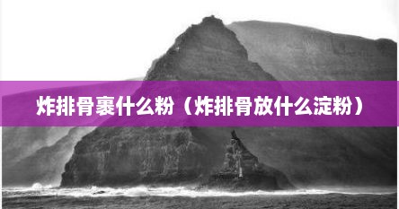 炸排骨裹什么粉（炸排骨放什么淀粉）