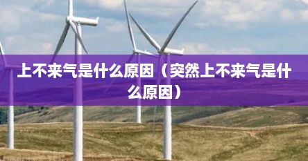 上不来气是什么原因（突然上不来气是什么原因）