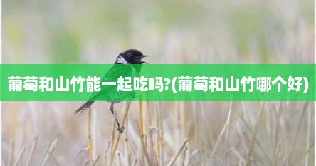 葡萄和山竹能一起吃吗?(葡萄和山竹哪个好)