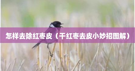 怎样去除红枣皮（干红枣去皮小妙招图解）