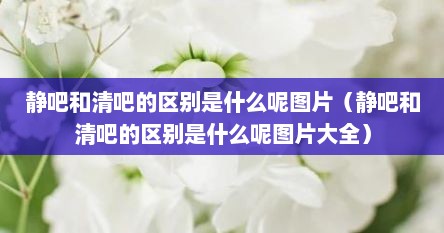 静吧和清吧的区别是什么呢图片（静吧和清吧的区别是什么呢图片大全）