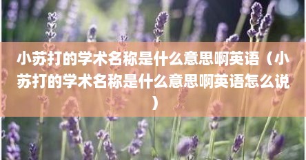 小苏打的学术名称是什么意思啊英语（小苏打的学术名称是什么意思啊英语怎么说）