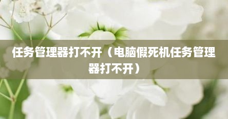 任务管理器打不开（电脑假死机任务管理器打不开）