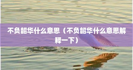 不负韶华什么意思（不负韶华什么意思解释一下）