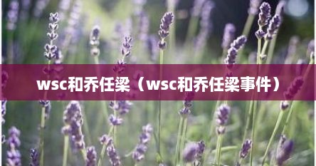 wsc和乔任梁（wsc和乔任梁事件）