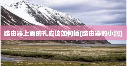 路由器上面的孔应该如何插(路由器的小洞)