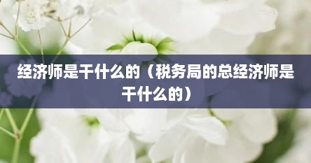 经济师是干什么的（税务局的总经济师是干什么的）