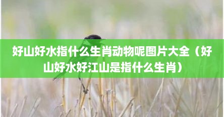 好山好水指什么生肖动物呢图片大全（好山好水好江山是指什么生肖）