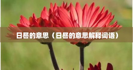 日晷的意思（日晷的意思解释词语）