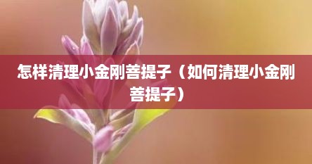怎样清理小金刚菩提子（如何清理小金刚菩提子）