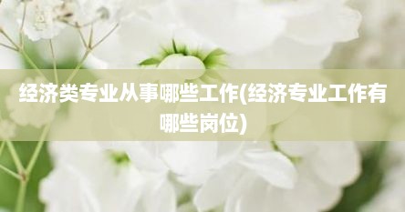 经济类专业从事哪些工作(经济专业工作有哪些岗位)
