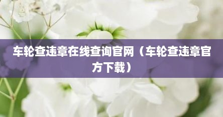 车轮查违章在线查询官网（车轮查违章官方下载）