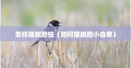 如何摆脱怯懦自卑状态（如何摆脱怯懦心态）